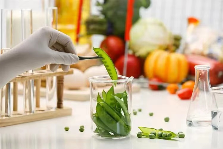 确保面包食品的健康安全