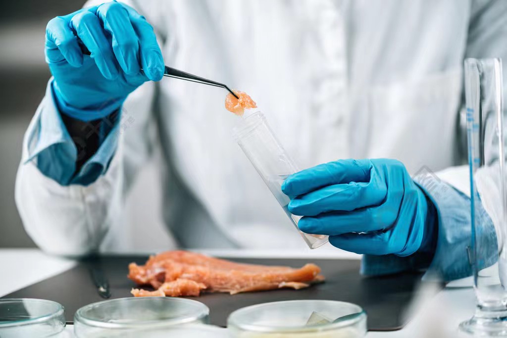 如何应对食品检测报告无法查询的问题