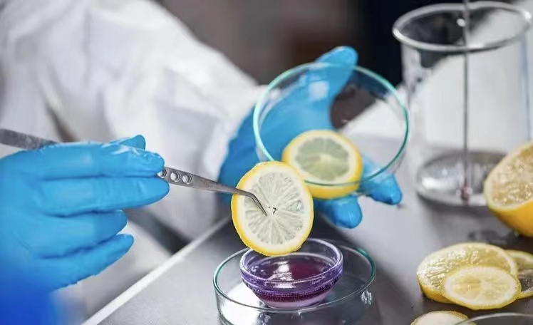 食品检测报告查询网站：保障你的餐桌安全