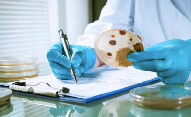 深入解析乳制品检验过程的每个环节，确保食品安全无忧