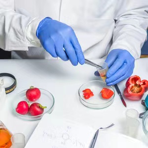 探讨豆制品类国家标准的制定背景、分类、执行及对行业发展的影响