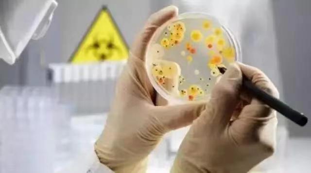 针对豆制品加工过程中废水排放的处理技术,提供全面解析和解决方案。 针对豆制品加工过程中废水排放的处理技术,提供全面解析和解决方案。